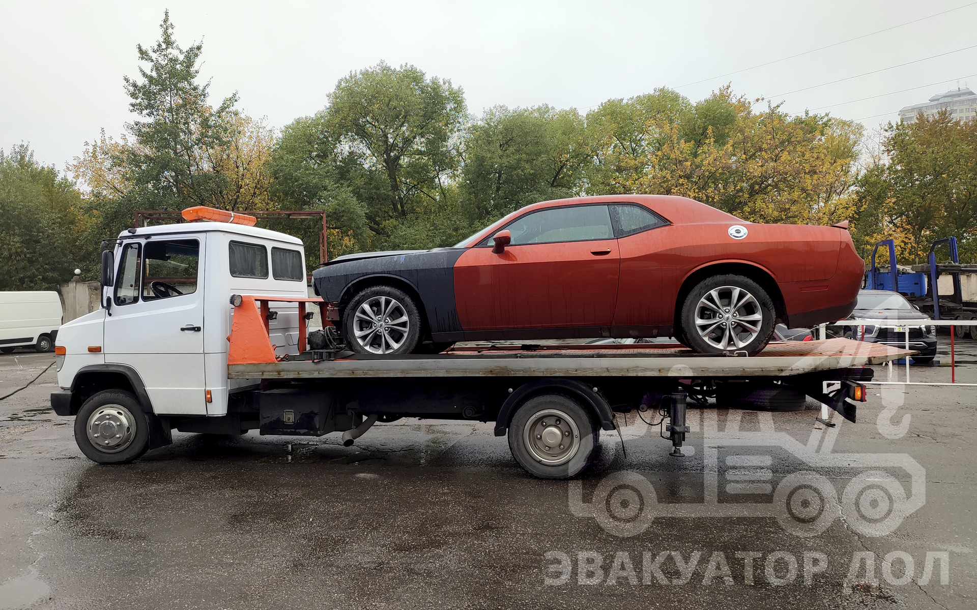 Перегрузка с автовоза и перевозка Dodge Challenger - Эвакуатор ДОЛ